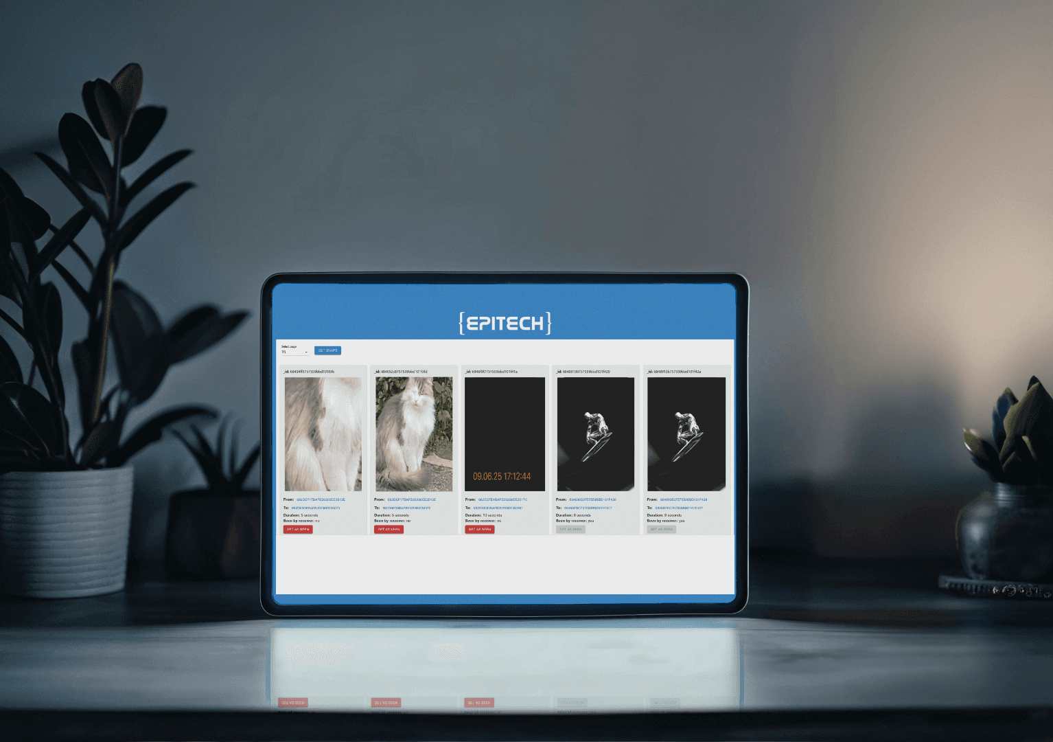Aperçu du projet API my_snapchat
